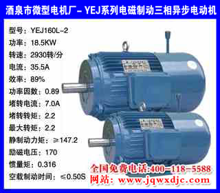 18.5KW ���� YEJϵ�е���ƶ�����綯�� YEJ160l-2